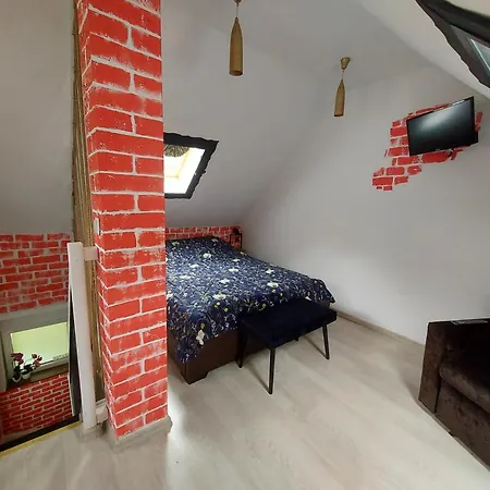 بيت خشبي Przylesie Dom Turystyczny *